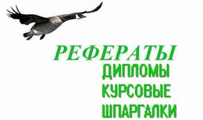 Статистика железнодорожного транспорта